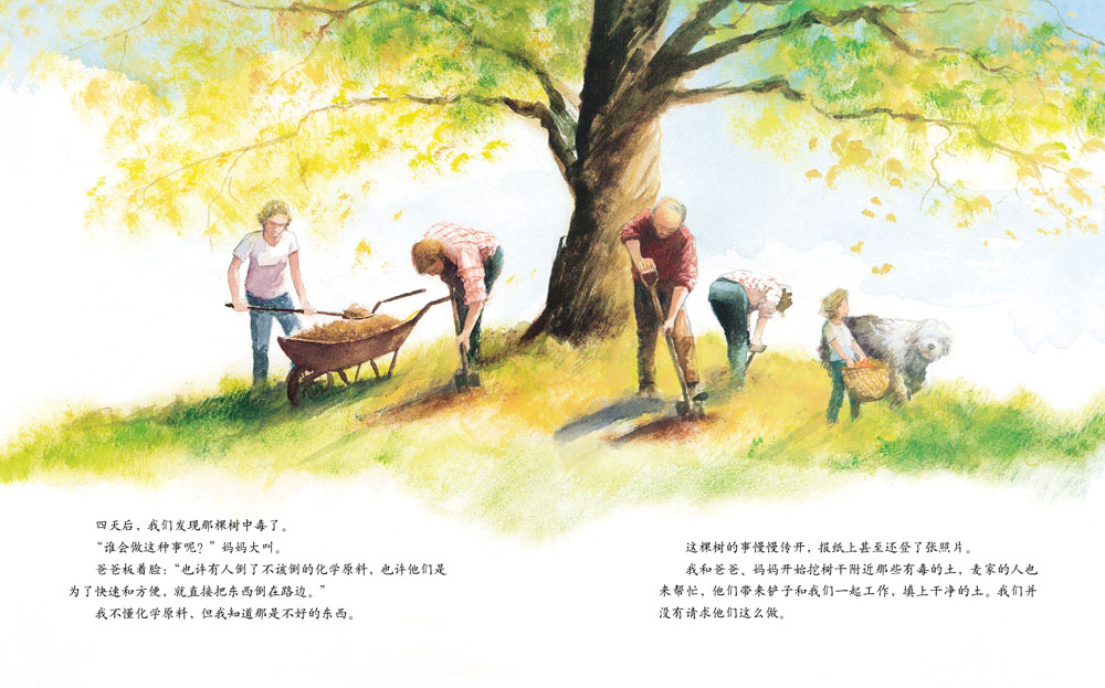 艾莉丝的树 (10),绘本,绘本故事,绘本阅读,故事书,童书,图画书,课外阅读